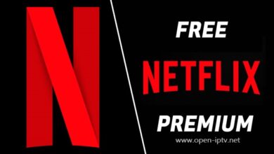 Netflix Free Accounts 2023 – 100% Working